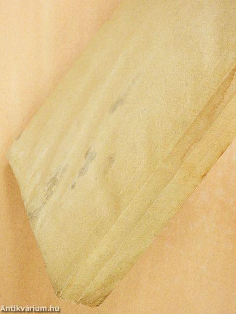 Utazzál velem a Föld körül