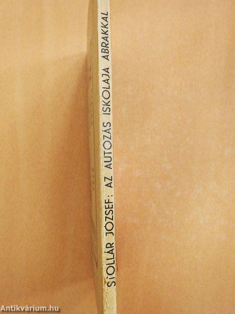 Az autózás iskolája ábrákkal