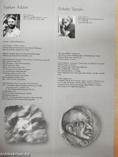 Mai magyar érem