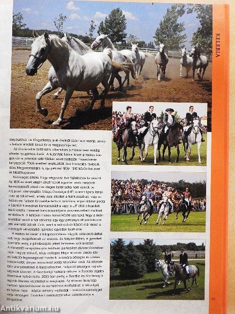 Vajdaság száz csodája