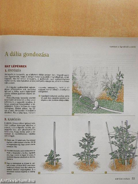 A kertészkedés nagykönyve