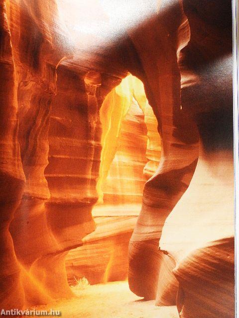 Felszínformáló erők