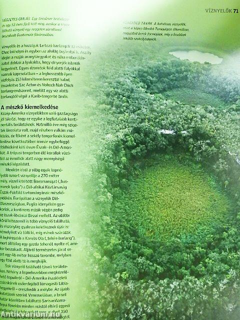 Felszínformáló erők