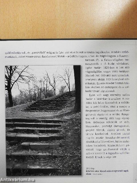 Tabán egykor és ma