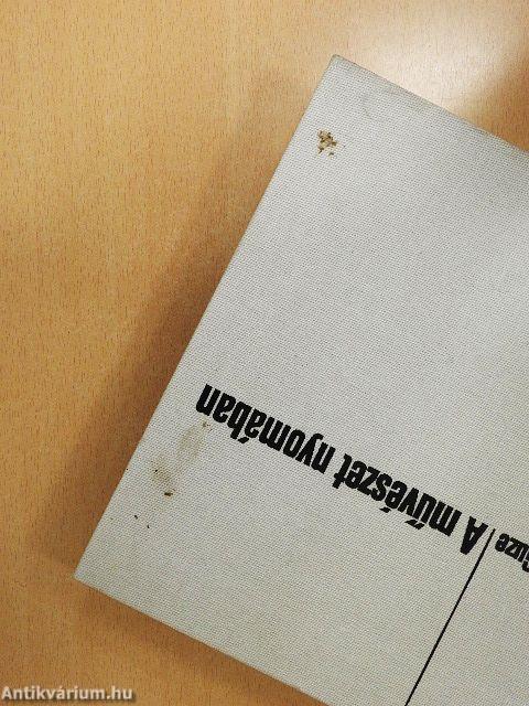 A művészet nyomában