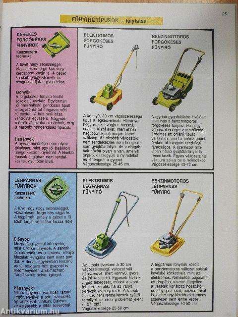 Pázsit és gyepszőnyeg