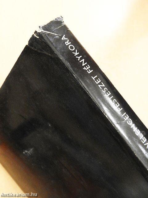 A velencei festészet fénykora