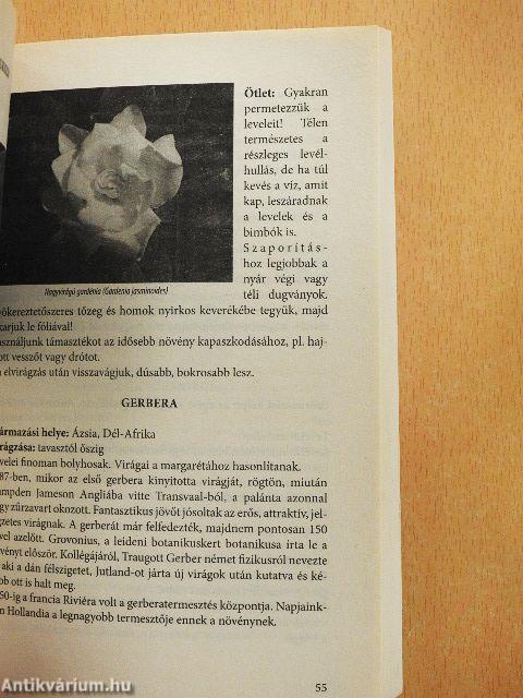 Szobanövények kézikönyve