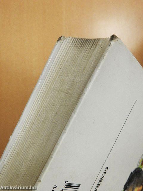 A világirodalom hatvanhat legszebb meséje