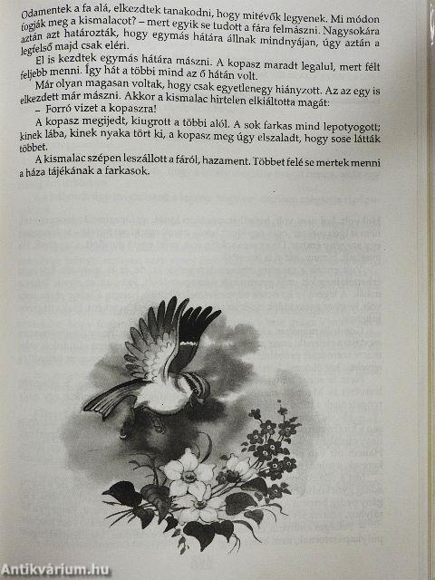 A világirodalom hatvanhat legszebb meséje