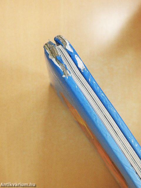 Varázslatos mesevilág