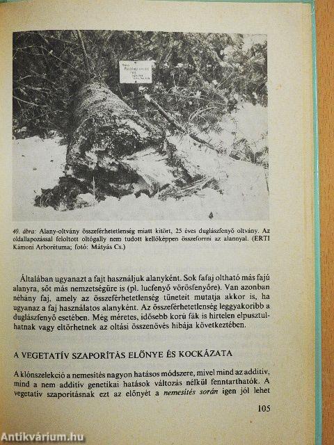 Nemesített erdészeti szaporítóanyag-ellátás