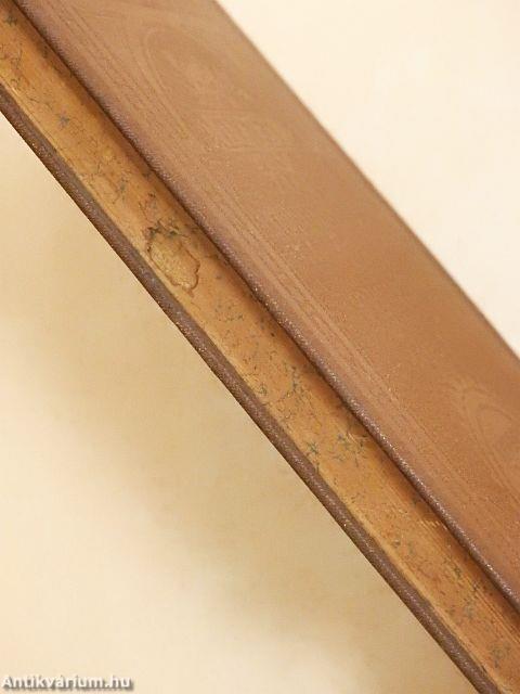 Lenaus sämtliche Werke I-IV. (gótbetűs)