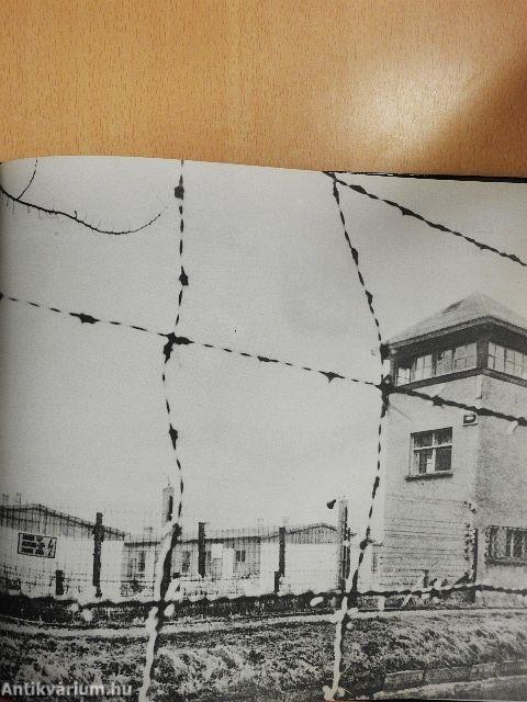 Ha Isten azt akarta volna...