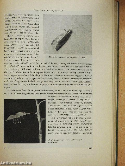 Brehm - Az állatok világa I-IV.