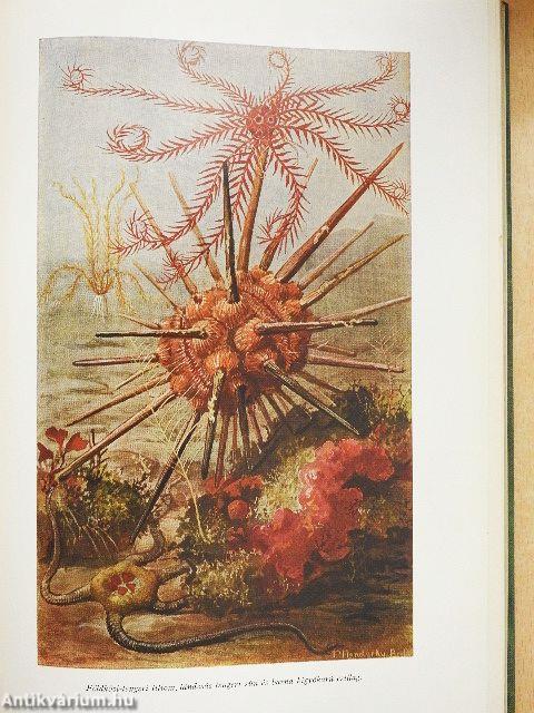 Brehm - Az állatok világa I-IV.