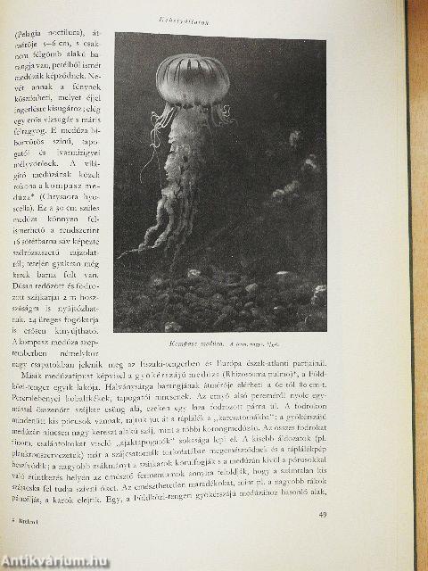 Brehm - Az állatok világa I-IV.