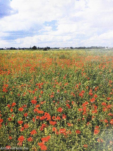 Brandenburg/Le Brandebourg