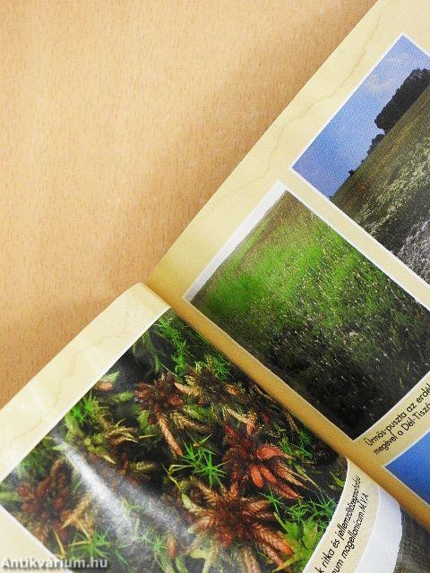 Vörös könyv Magyarország növénytársulásairól 1-2.