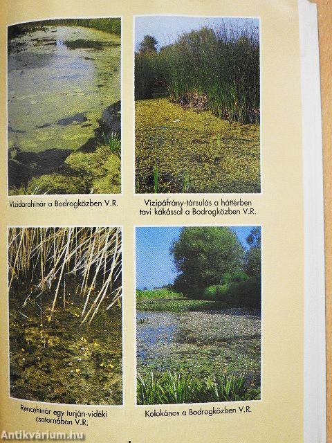 Vörös könyv Magyarország növénytársulásairól 1-2.