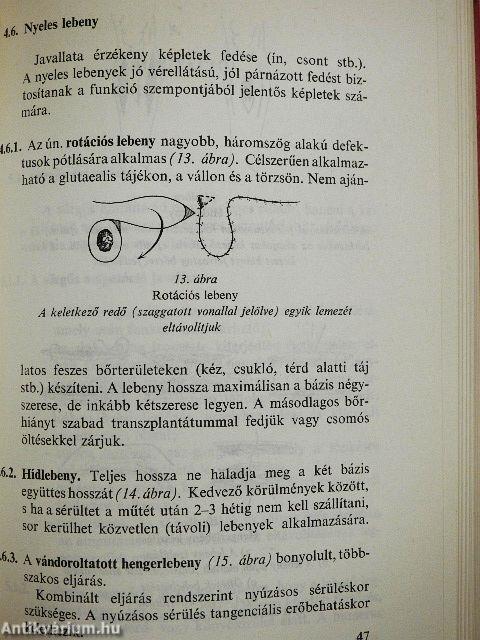 Sérültek ellátása háborúban és békében