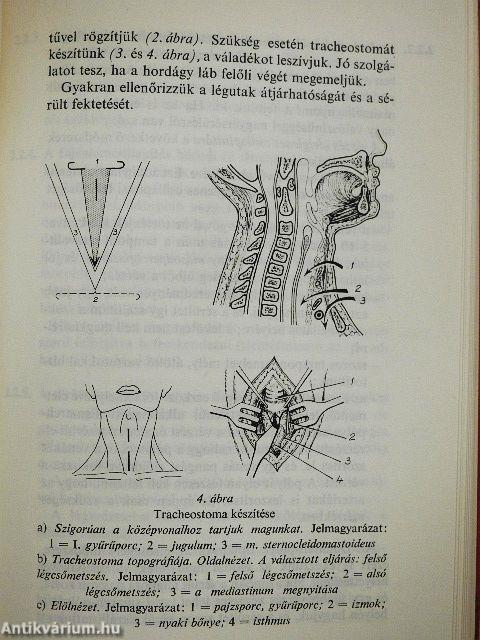 Sérültek ellátása háborúban és békében