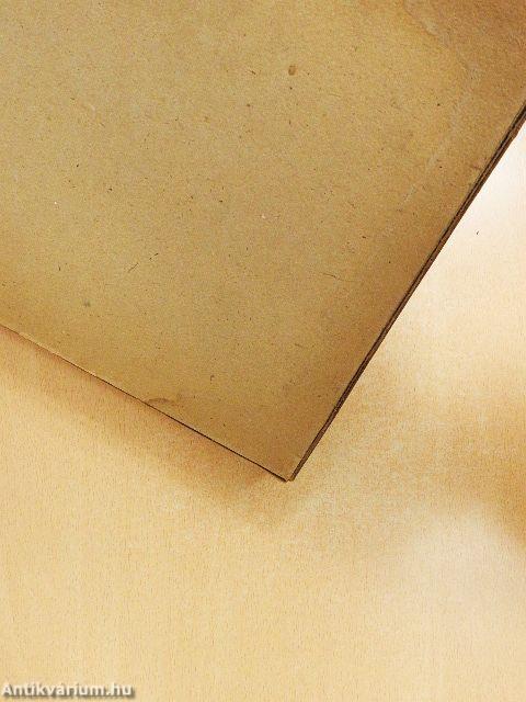 Die Dresdner Galerie Alte Meister