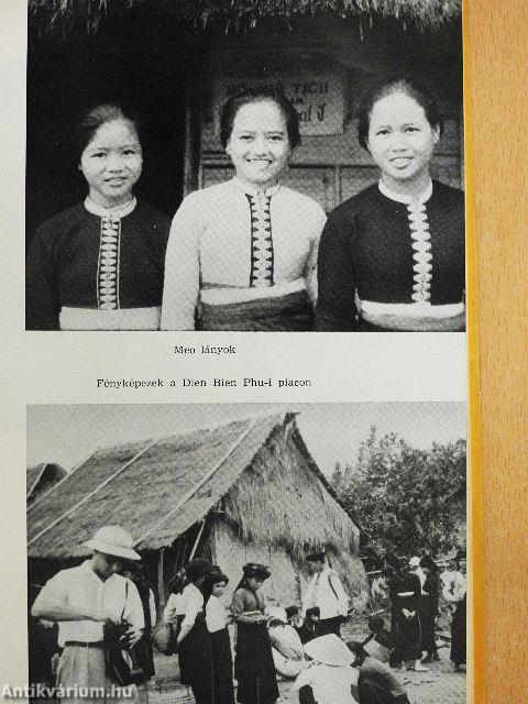 Az arany teknősbéka földjén