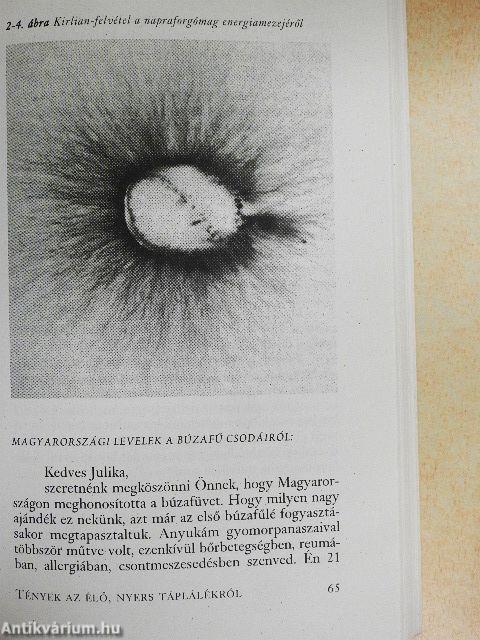 Élő ételek az egészségért