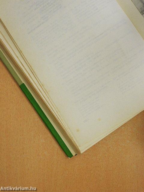 "Magyarország a kereszténység ellensége"