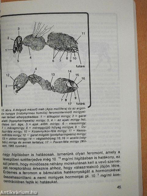 Állat az állatnak üzen