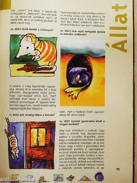 Titkok és rejtélyek