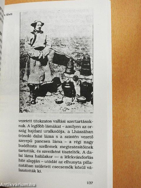 "Bölcsőjét kereste a magyarnak..."