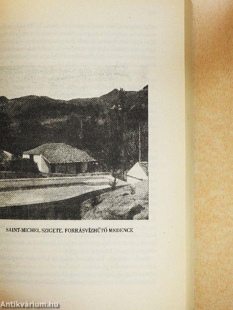 Thompson és Tsa utazási iroda