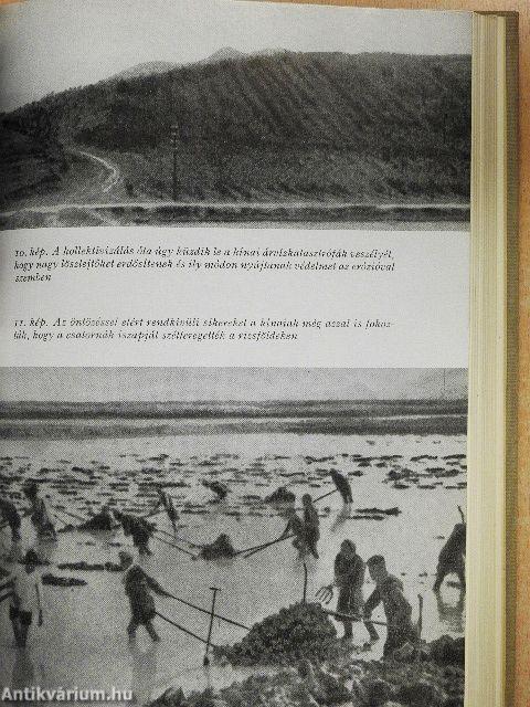 Versenyfutás a 2000. évig