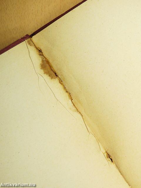 A pompeji strázsán