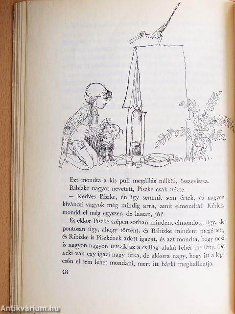 Pöpöpapa és a kutyákok