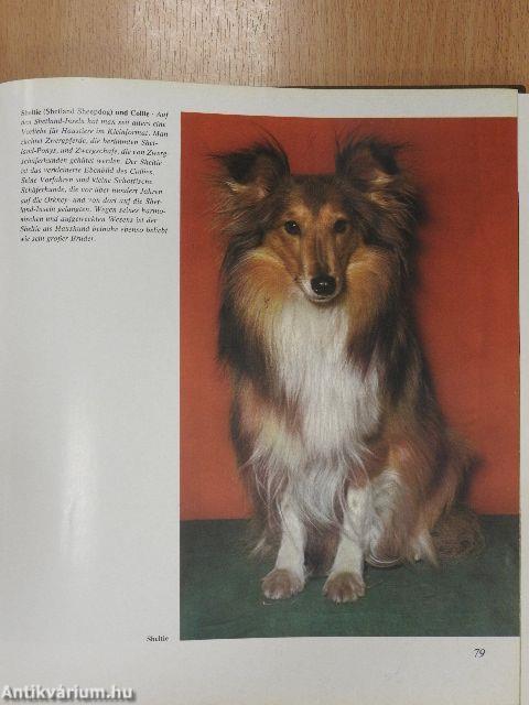 Das grosse Hundebuch