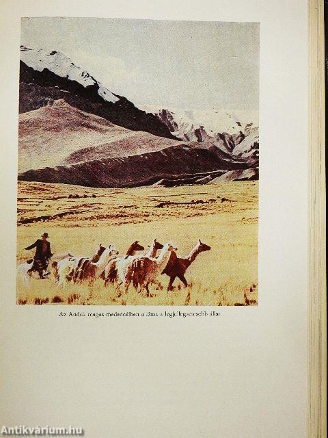 Közép- és Dél-Amerika