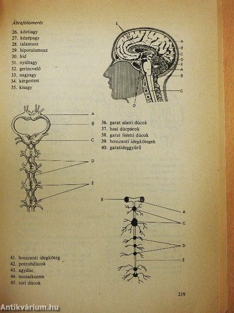 Biológiai feladatgyűjtemény a gimnáziumok számára