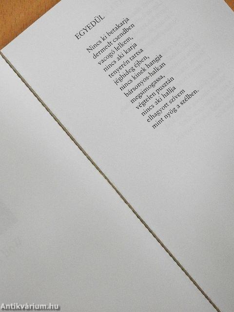 A huszonötödik órából