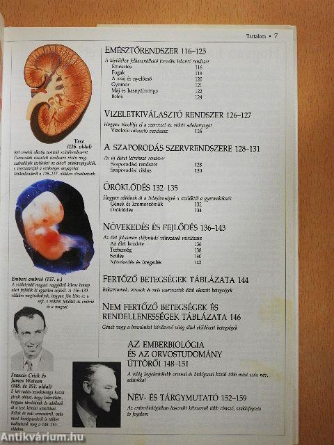 Az emberi test kisenciklopédiája