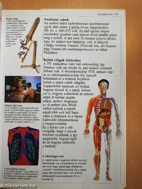 Az emberi test kisenciklopédiája