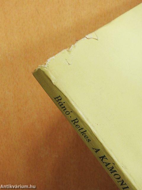 A Kámoni Arborétum