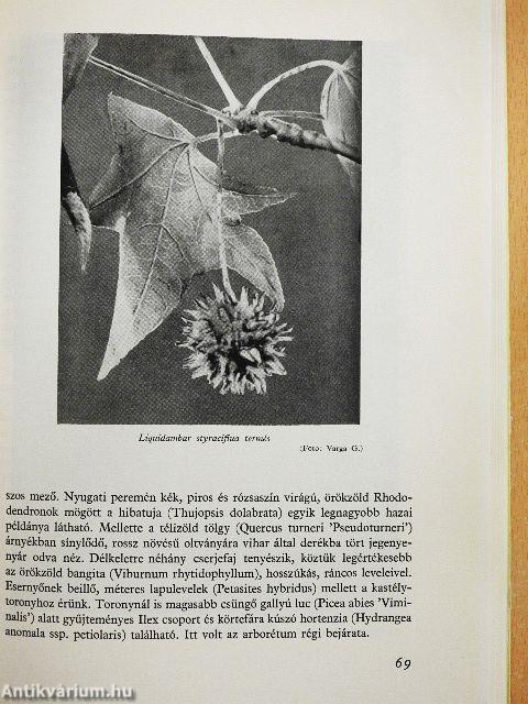 A Kámoni Arborétum