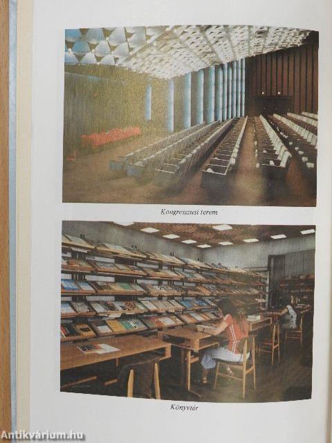 A vízrajzi szolgálat száz éve