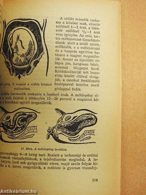 Nagylányok iskolája