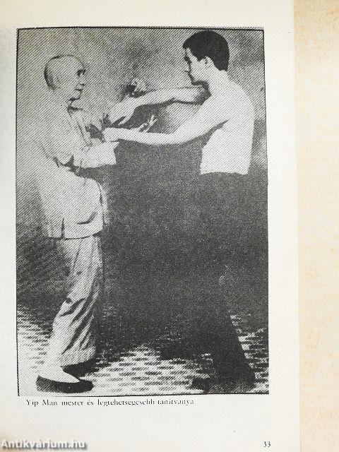 A kung fu királya