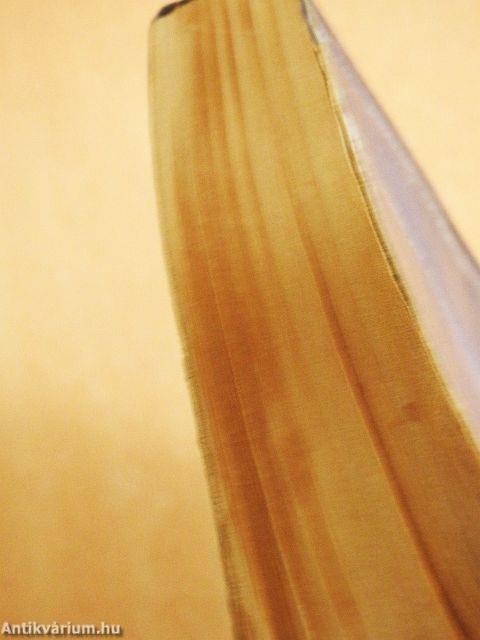 Alapítvány és Föld