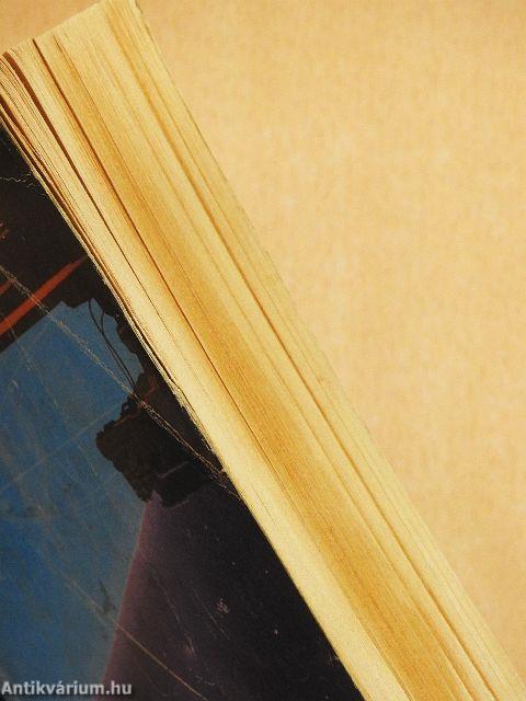 Alapítvány és Föld